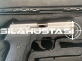 SIG SAUER 229 TWO TONE